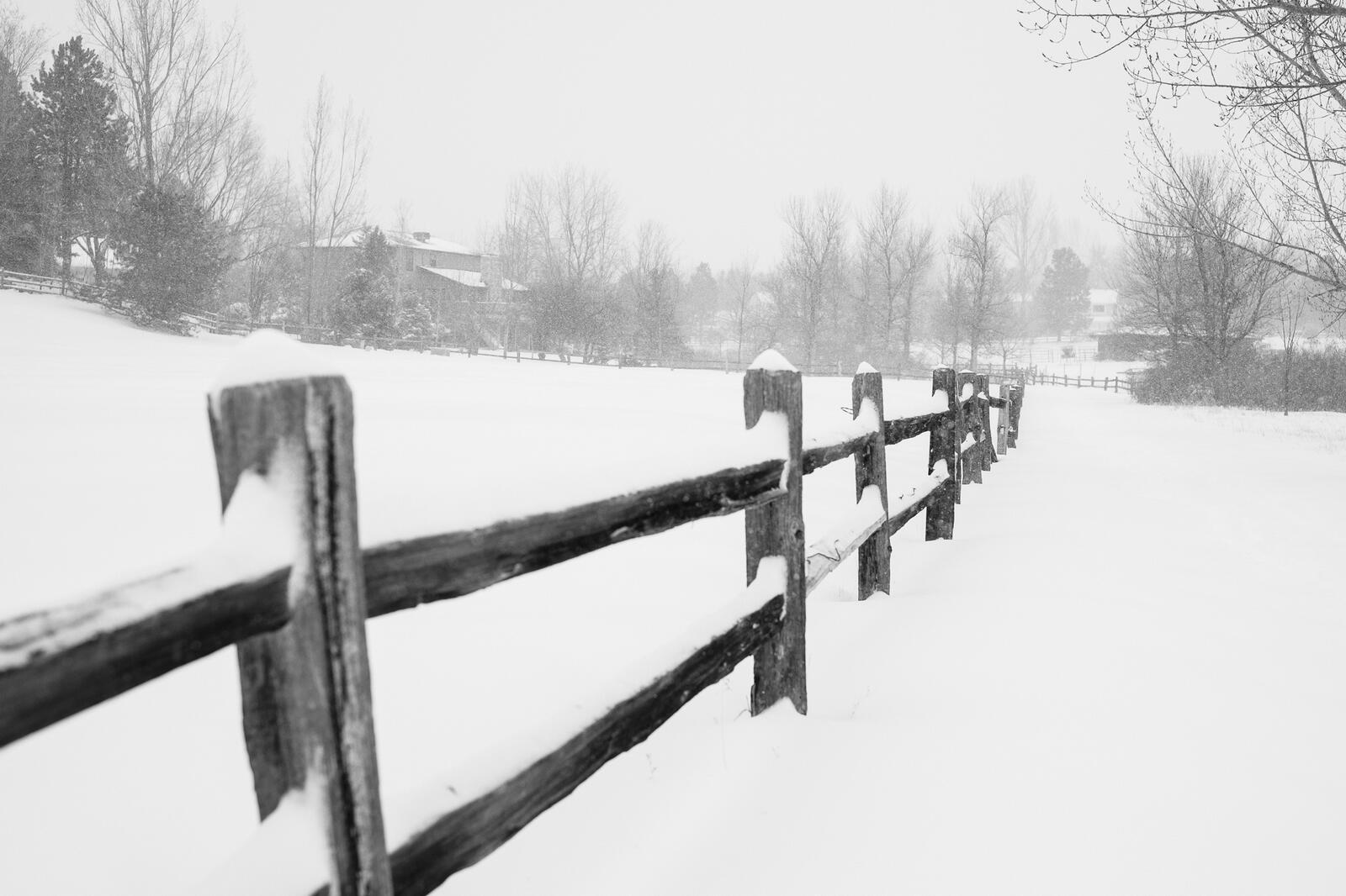 2013.02.24 Snow Day