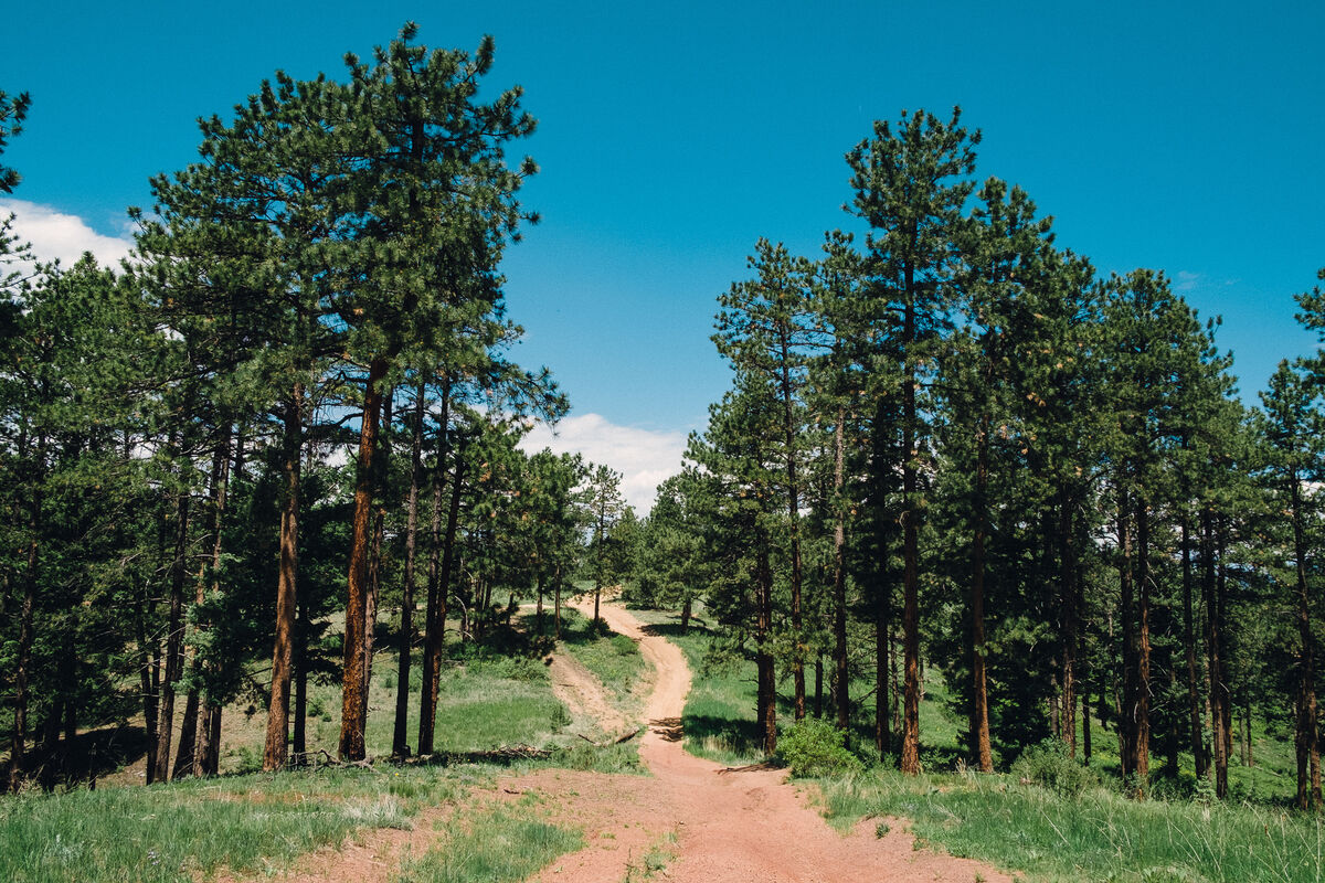 ATV Trail off SH 67