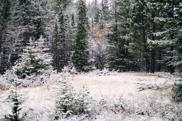 2016.10.07 Banff Snow Day