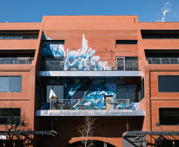 2025.02.16 Pearl Street, Boulder